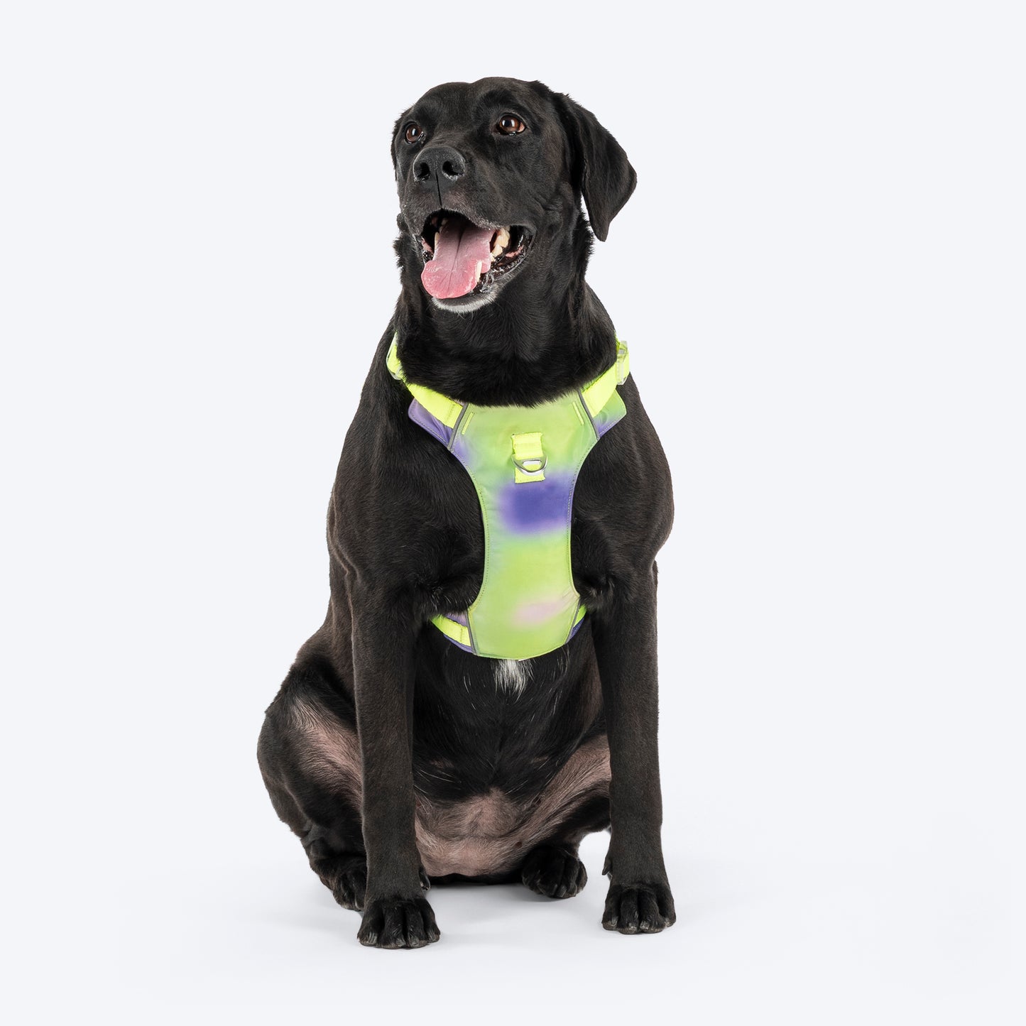 Dash Dog Neon Fusion Outdoor Ease Harness For Dog - Neon Green - Heads Up For Tails