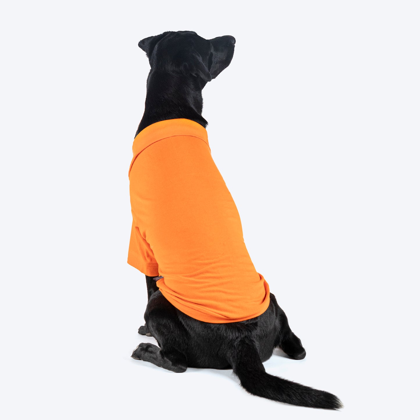 HUFT Paws Polo T-Shirt For Dog - Orange - Heads Up For Tails