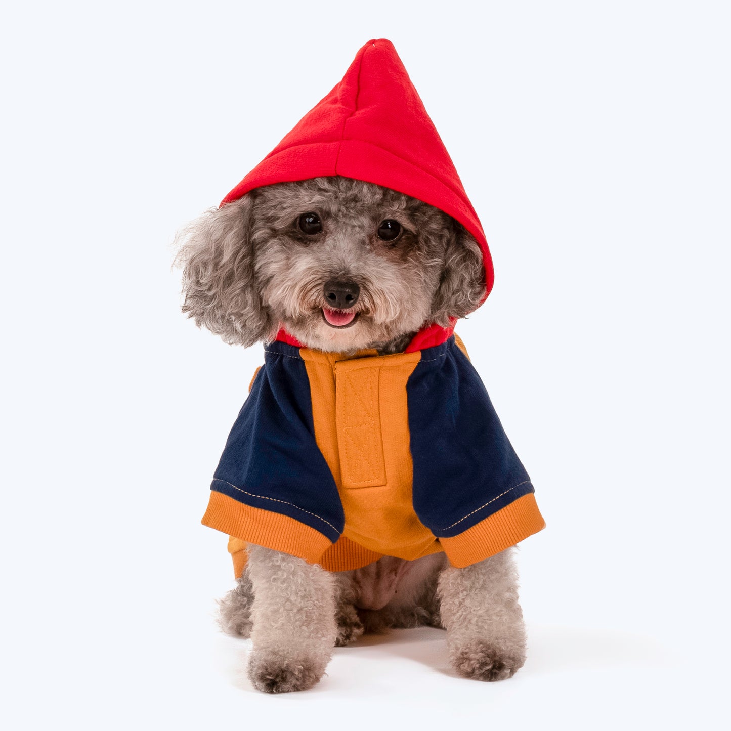 HUFT Colour Block Hoodie Sweatshirt For Pets- Mustard - Heads Up For Tails