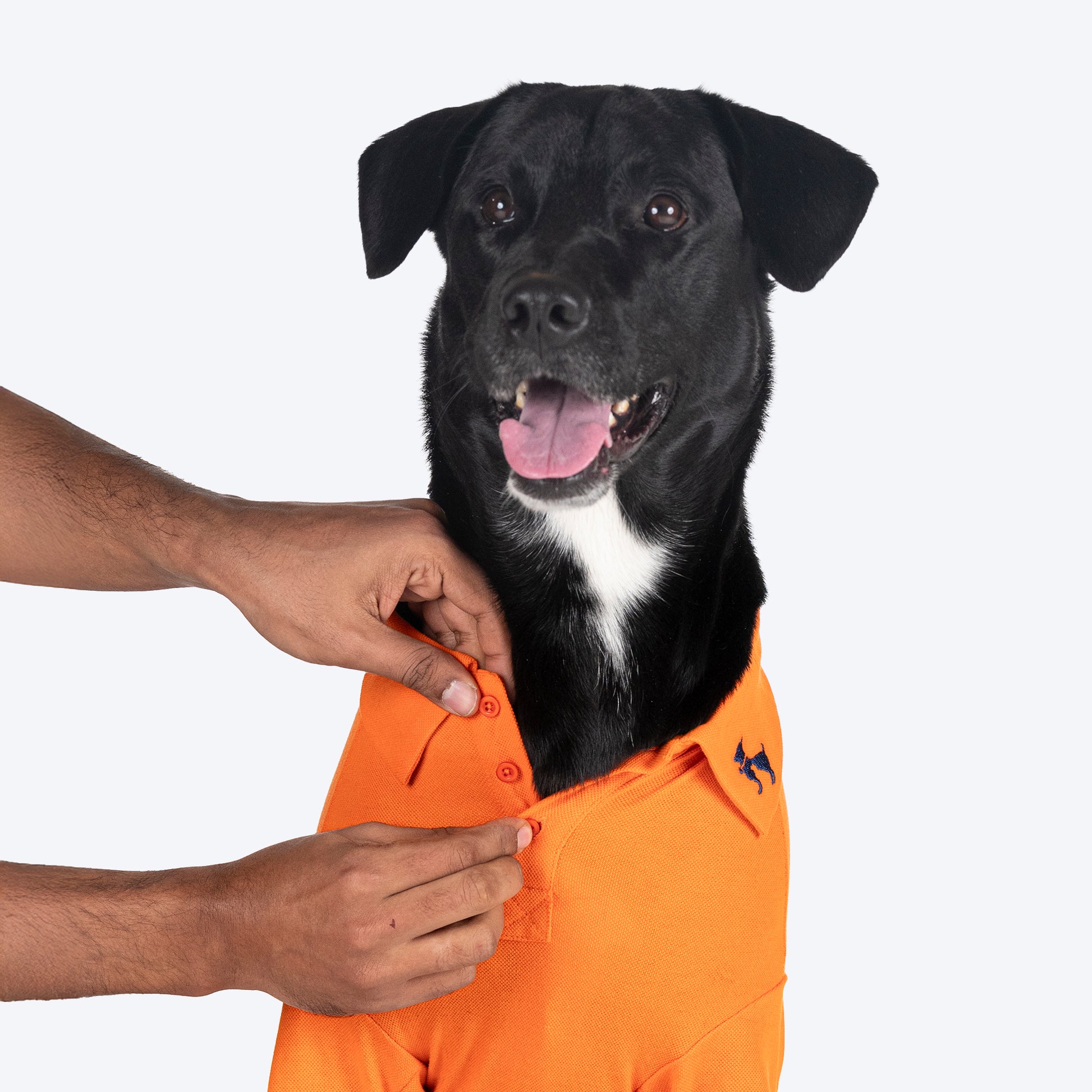 HUFT Paws Polo T-Shirt For Dog - Orange - Heads Up For Tails