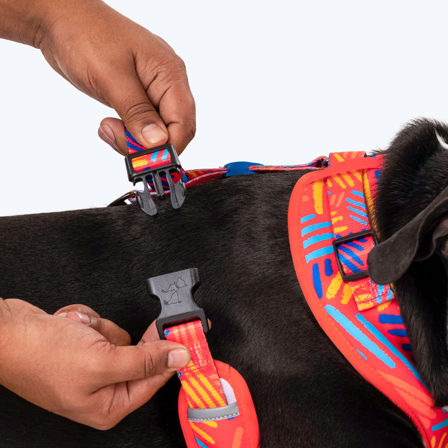 HUFT Sunset Samba Dog Adjustable Harness_05