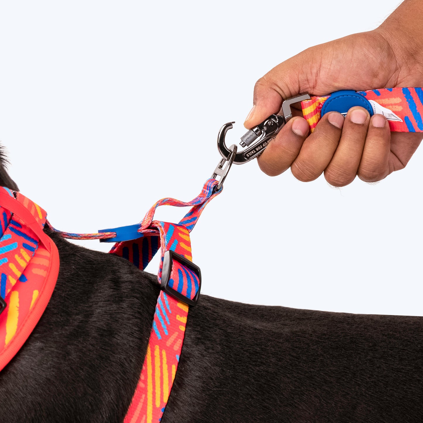 HUFT Sunset Samba Dog Adjustable Harness_06