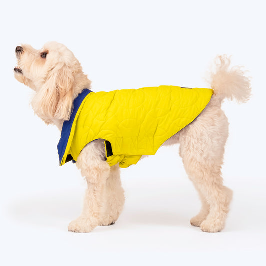 HUFT Cosy Pupper Reversible Dog Jacket - Lime Green - Heads Up For Tails