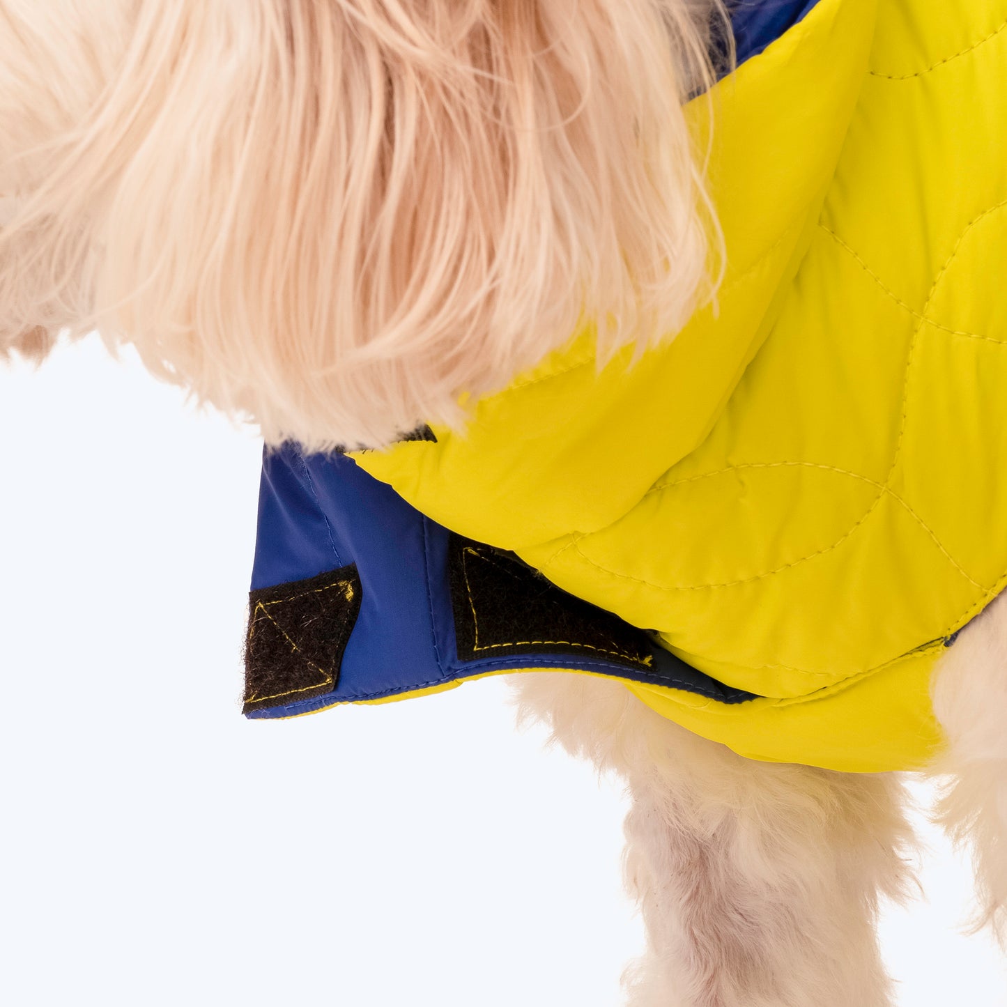 HUFT Cosy Pupper Reversible Dog Jacket - Lime Green - Heads Up For Tails