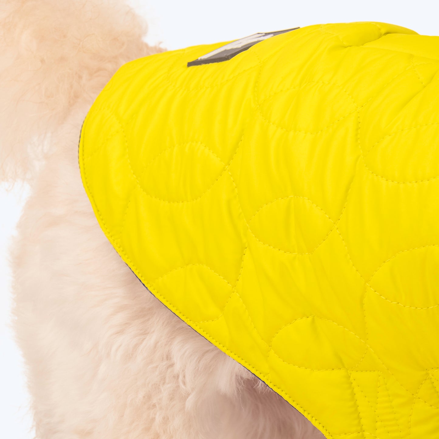 HUFT Cosy Pupper Reversible Dog Jacket - Lime Green - Heads Up For Tails