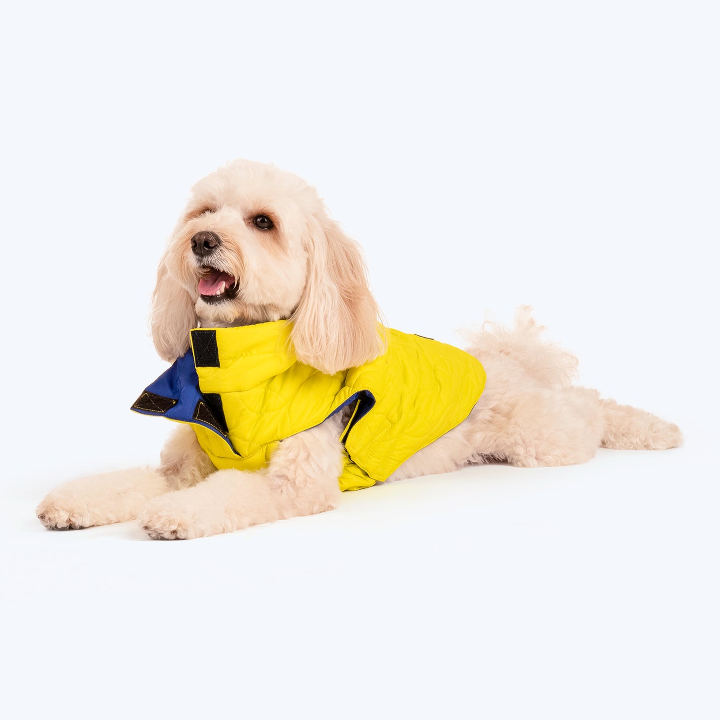 HUFT Cosy Pupper Reversible Dog Jacket - Lime Green - Heads Up For Tails