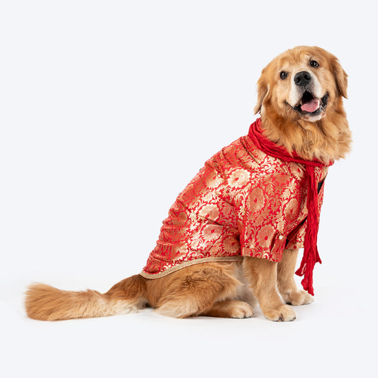 HUFT Customised Shahi Pawloom Brocade Kurta With Dupatta For Dog - Red - Heads Up For Tails