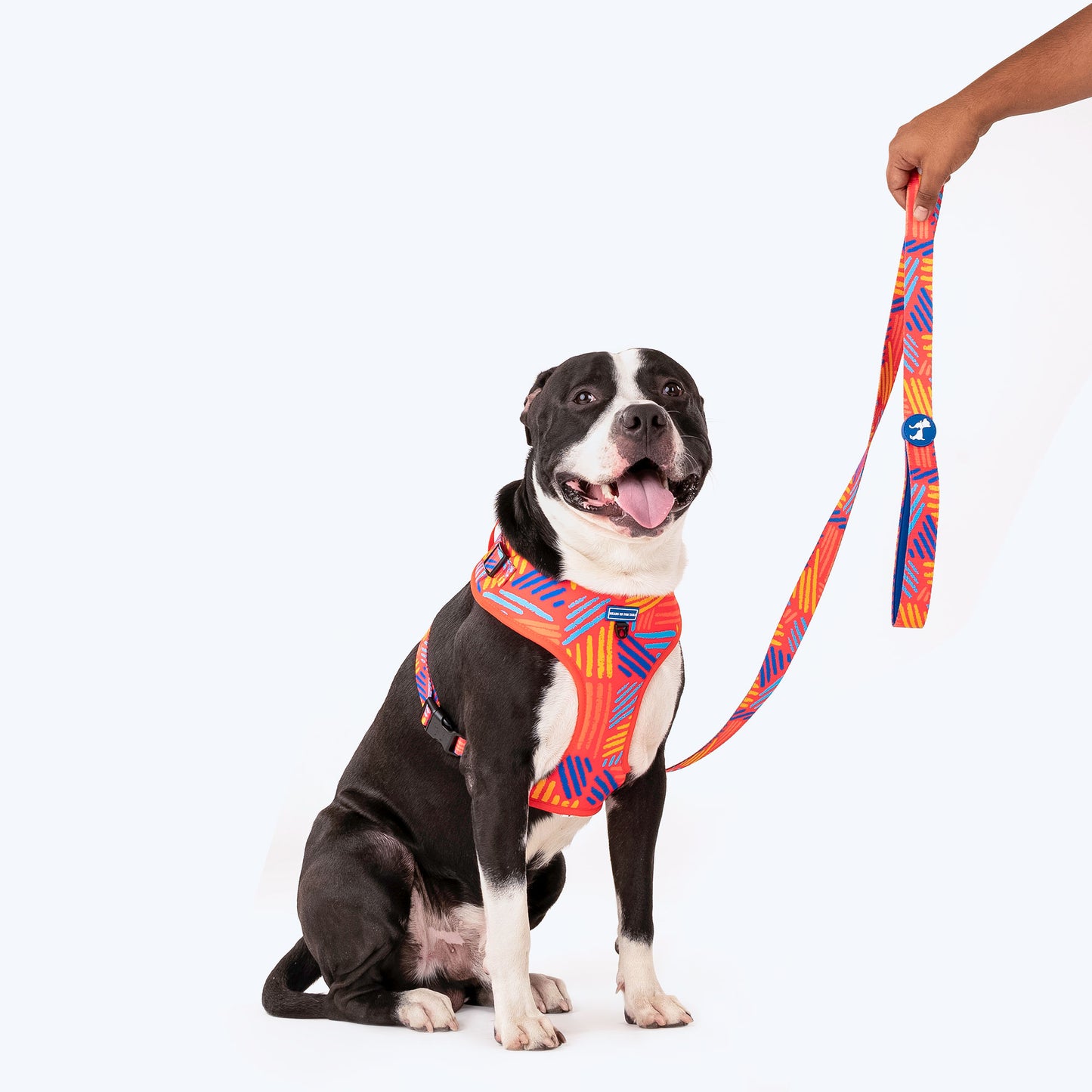 HUFT Sunset Samba Printed Dog Leash - Heads Up For Tails