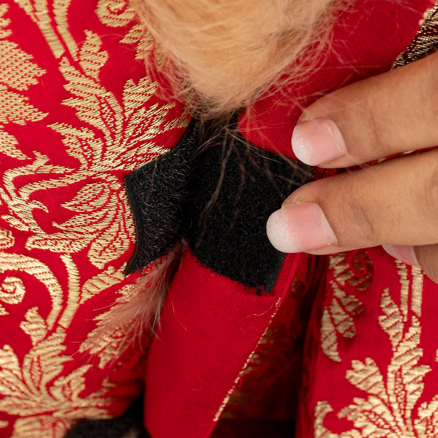 HUFT Customised Shahi Pawloom Brocade Kurta With Dupatta For Dog - Red