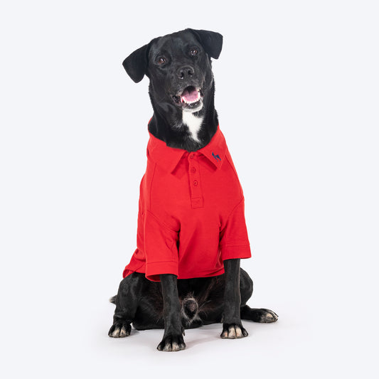 HUFT Paws Polo T-Shirt For Dog - Red - Heads Up For Tails