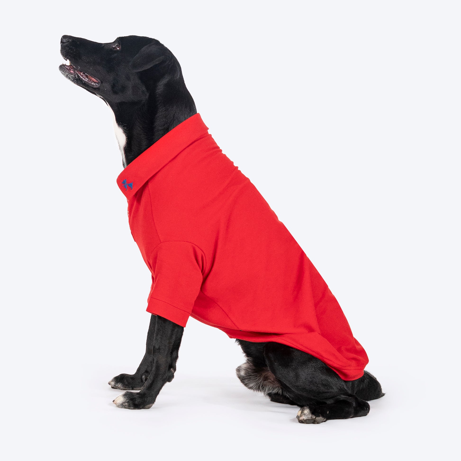 HUFT Paws Polo T-Shirt For Dog - Red - Heads Up For Tails