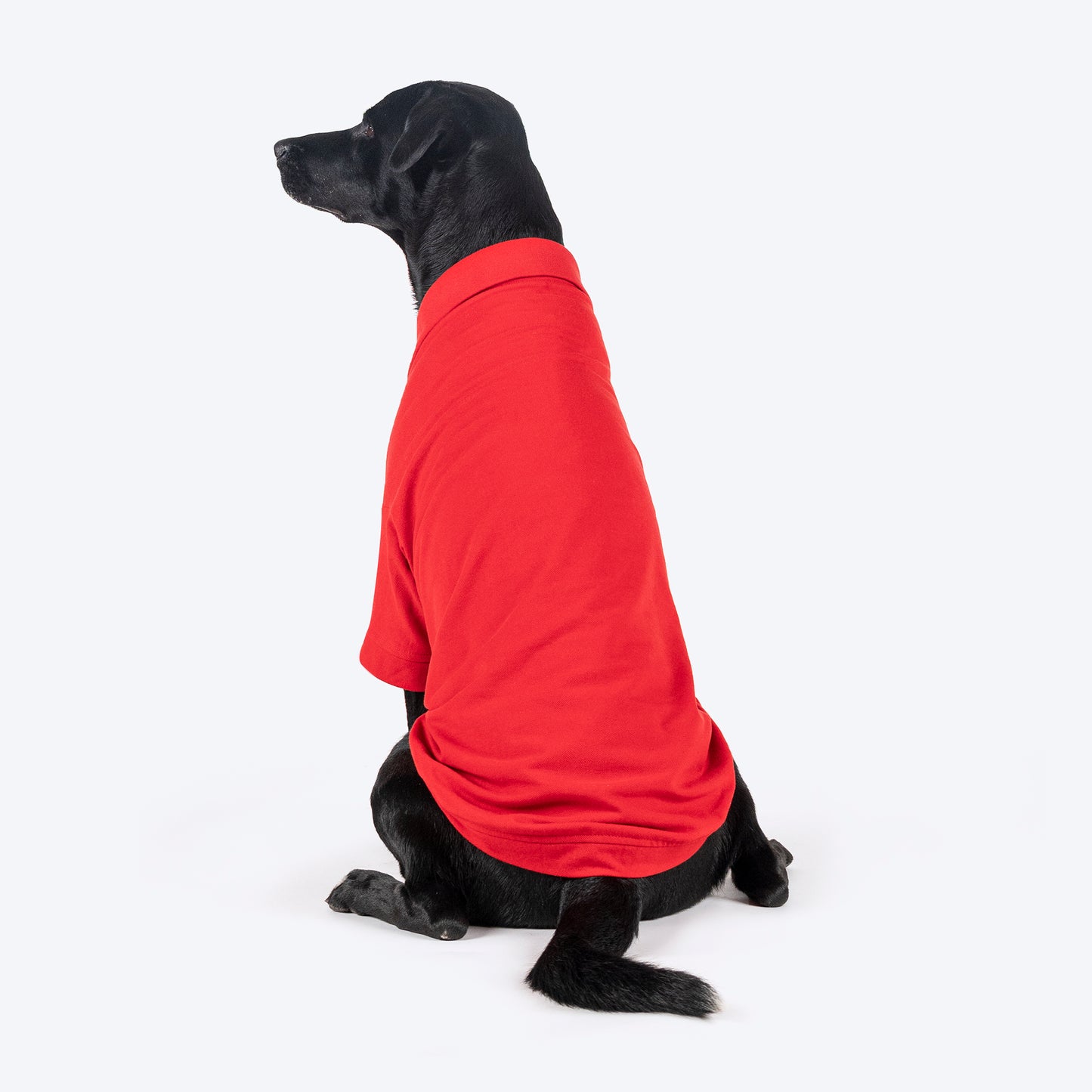 HUFT Paws Polo T-Shirt For Dog - Red - Heads Up For Tails