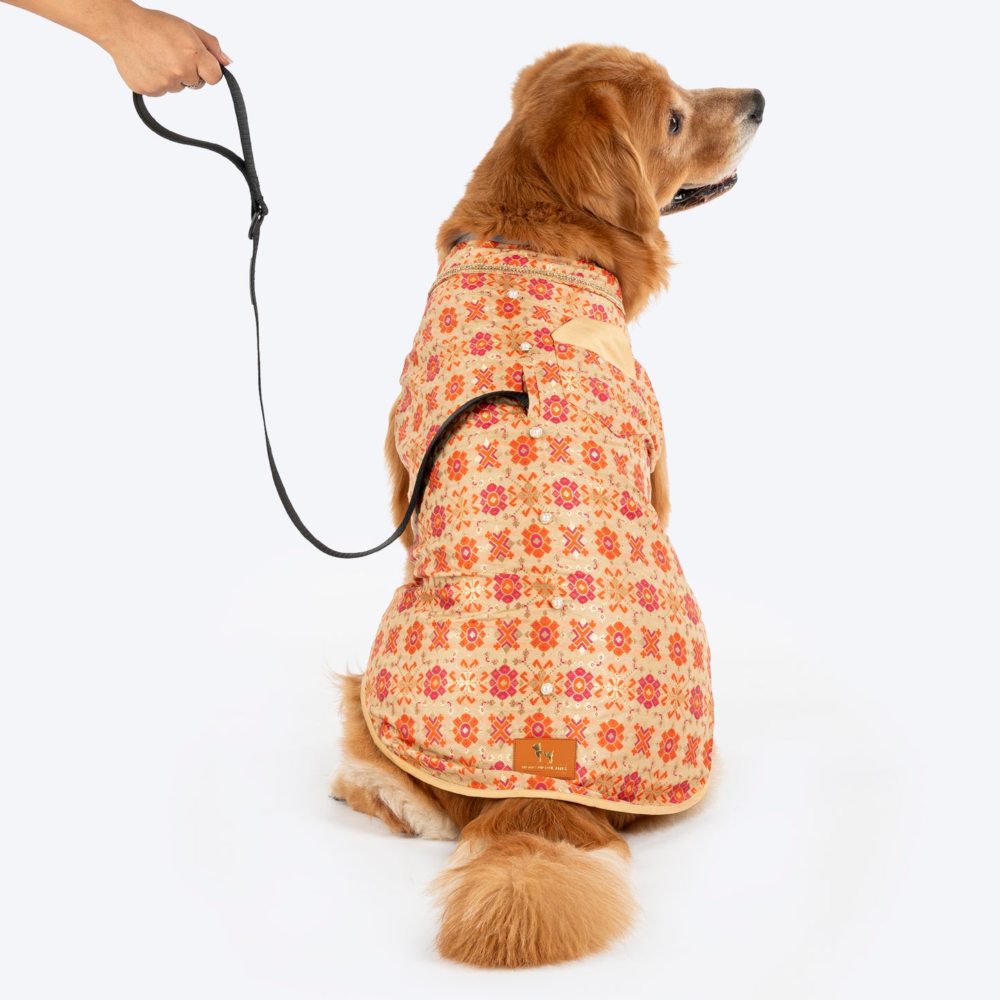 HUFT Customised Paw-tola Pawfect Brocade Sherwani For Dog - Cream