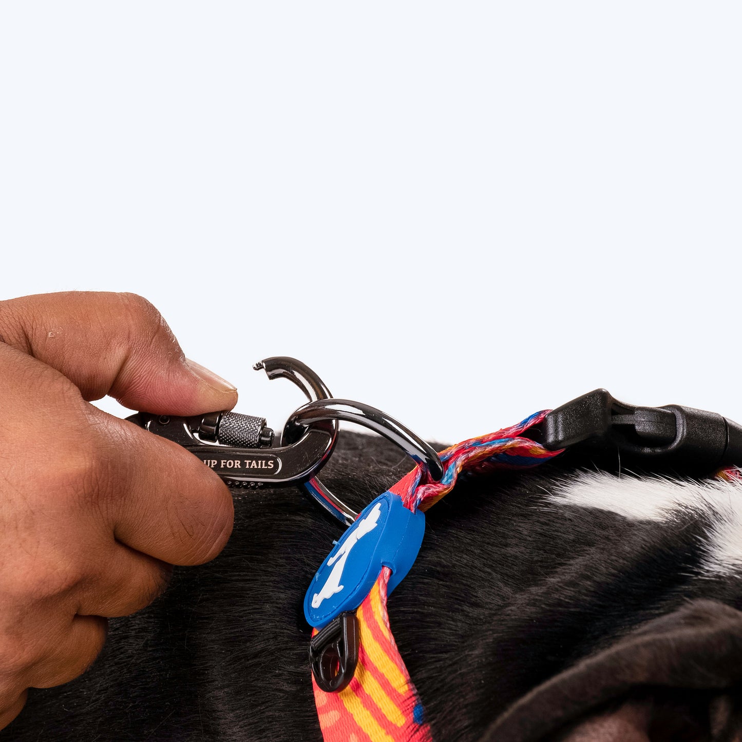 HUFT Sunset Samba Printed Dog Leash - Heads Up For Tails