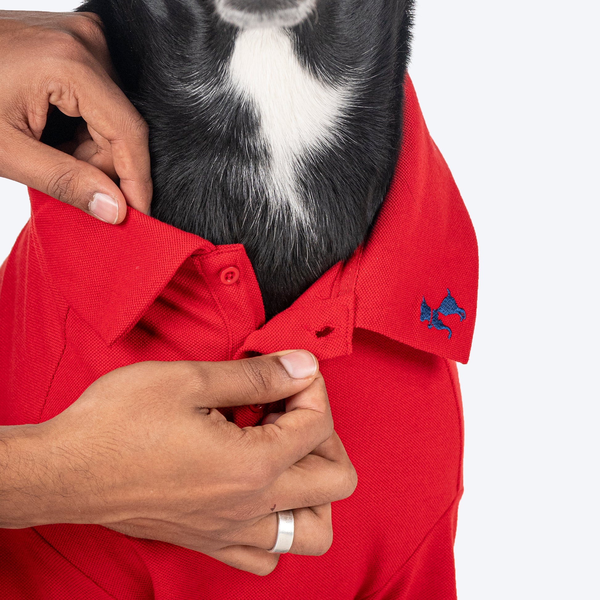 HUFT Paws Polo T-Shirt For Dog - Red - Heads Up For Tails