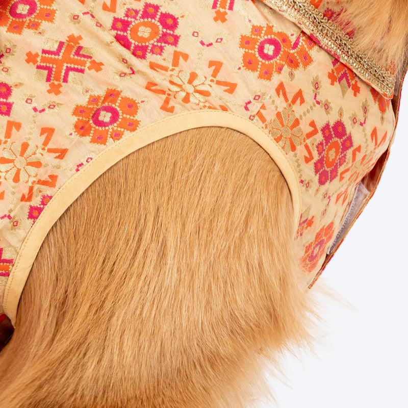 HUFT Customised Paw-tola Pawfect Brocade Sherwani For Dog - Cream - Heads Up For Tails