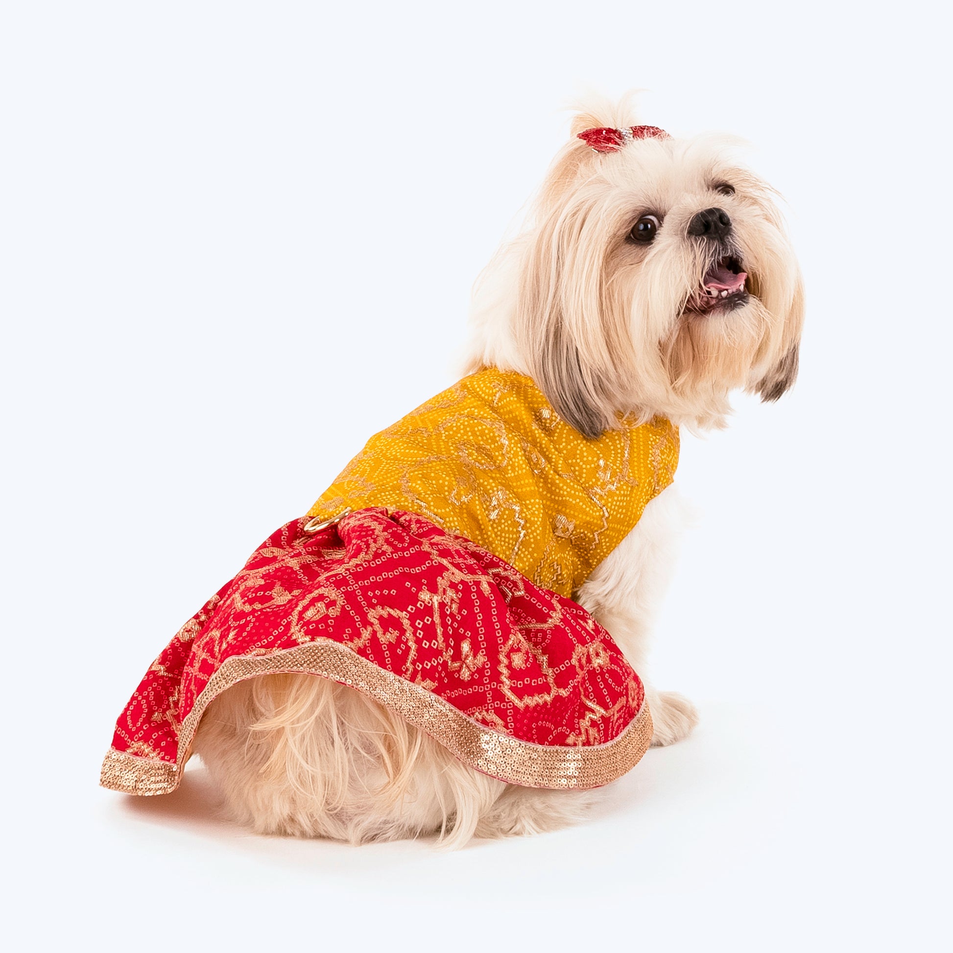 HUFT Personalised Dog Lehenga - Yellow & Red - Heads Up For Tails