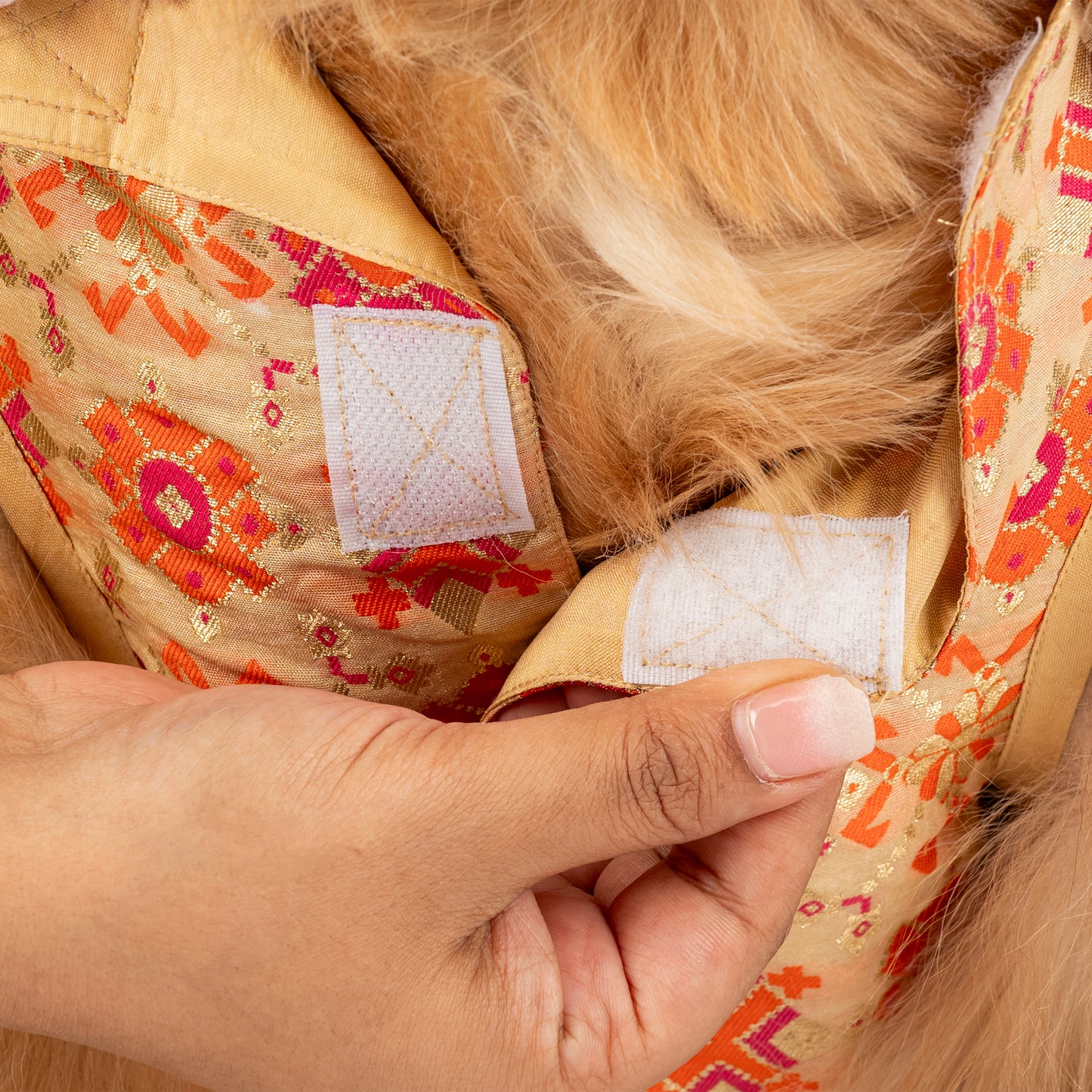 HUFT Customised Paw-tola Pawfect Brocade Sherwani For Dog - Cream