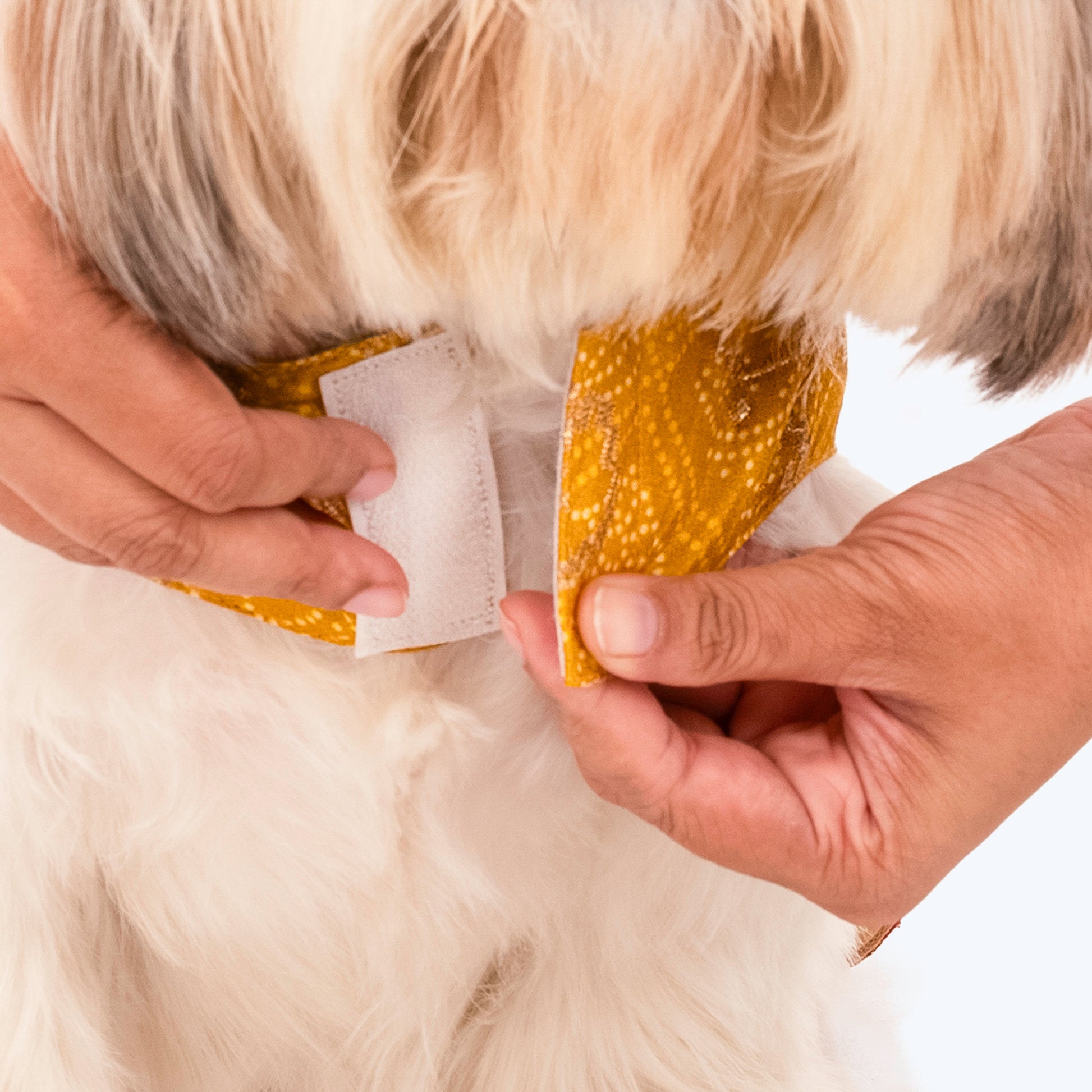 HUFT Personalised Dog Lehenga - Yellow & Red - Heads Up For Tails