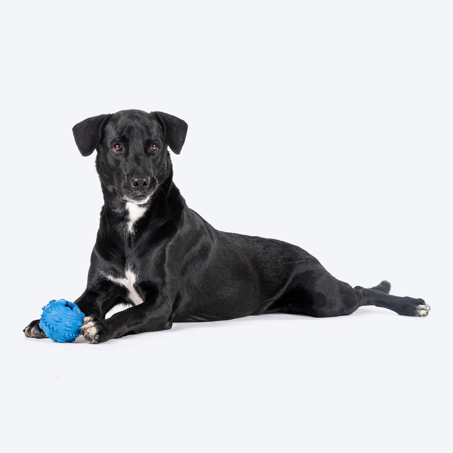 HUFT Chewtastics Treat-Me Chew Toy For Dog - Blue - Heads Up For Tails