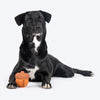 HUFT Chewtastics Nutty Chew Toy For Dog - Brown - Heads Up For Tails