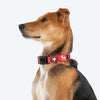 HUFT Heart Trails Collar For Dog - Red - Heads Up For Tails