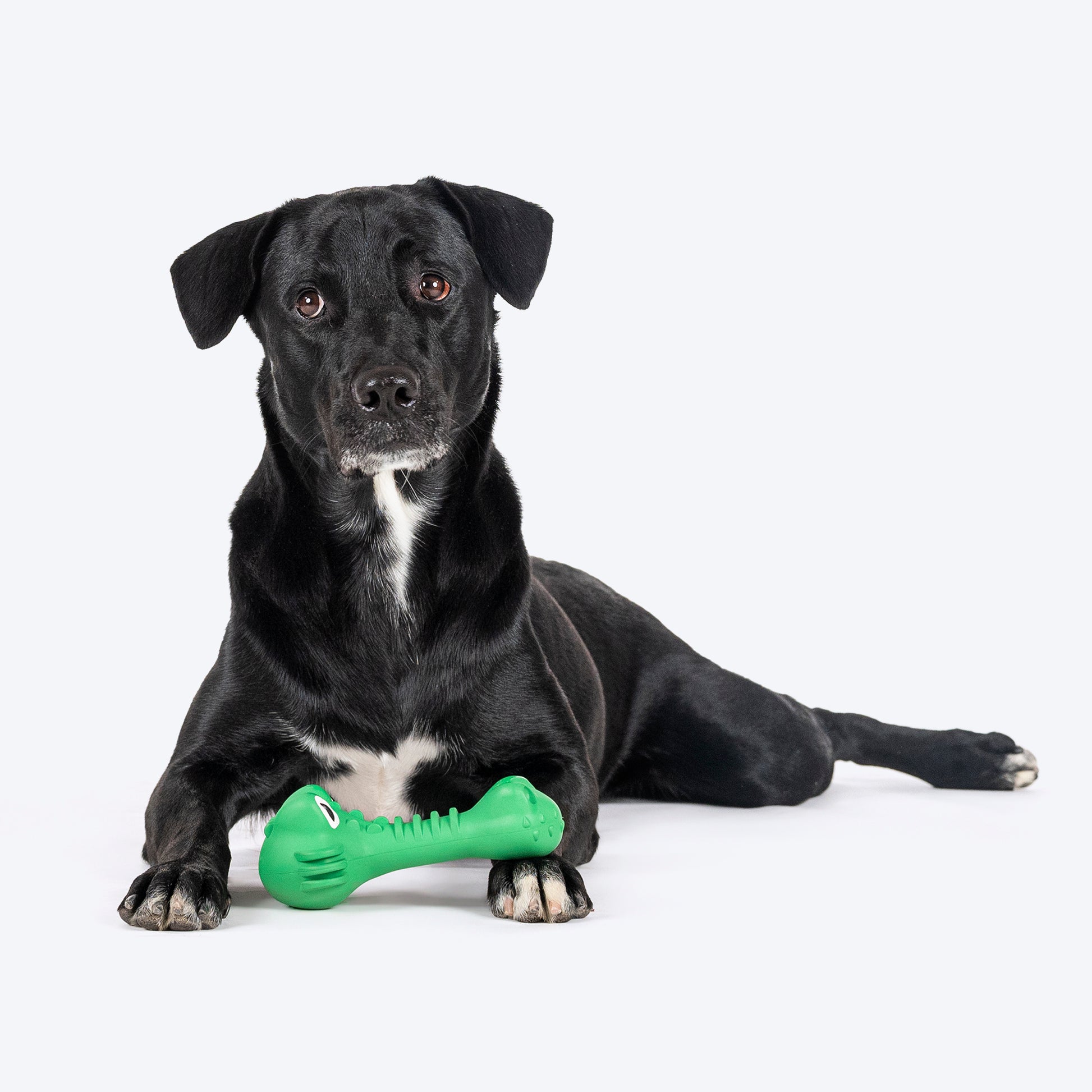 HUFT Chewtastics Croccy Chew Toy For Dog - Green - Heads Up For Tails