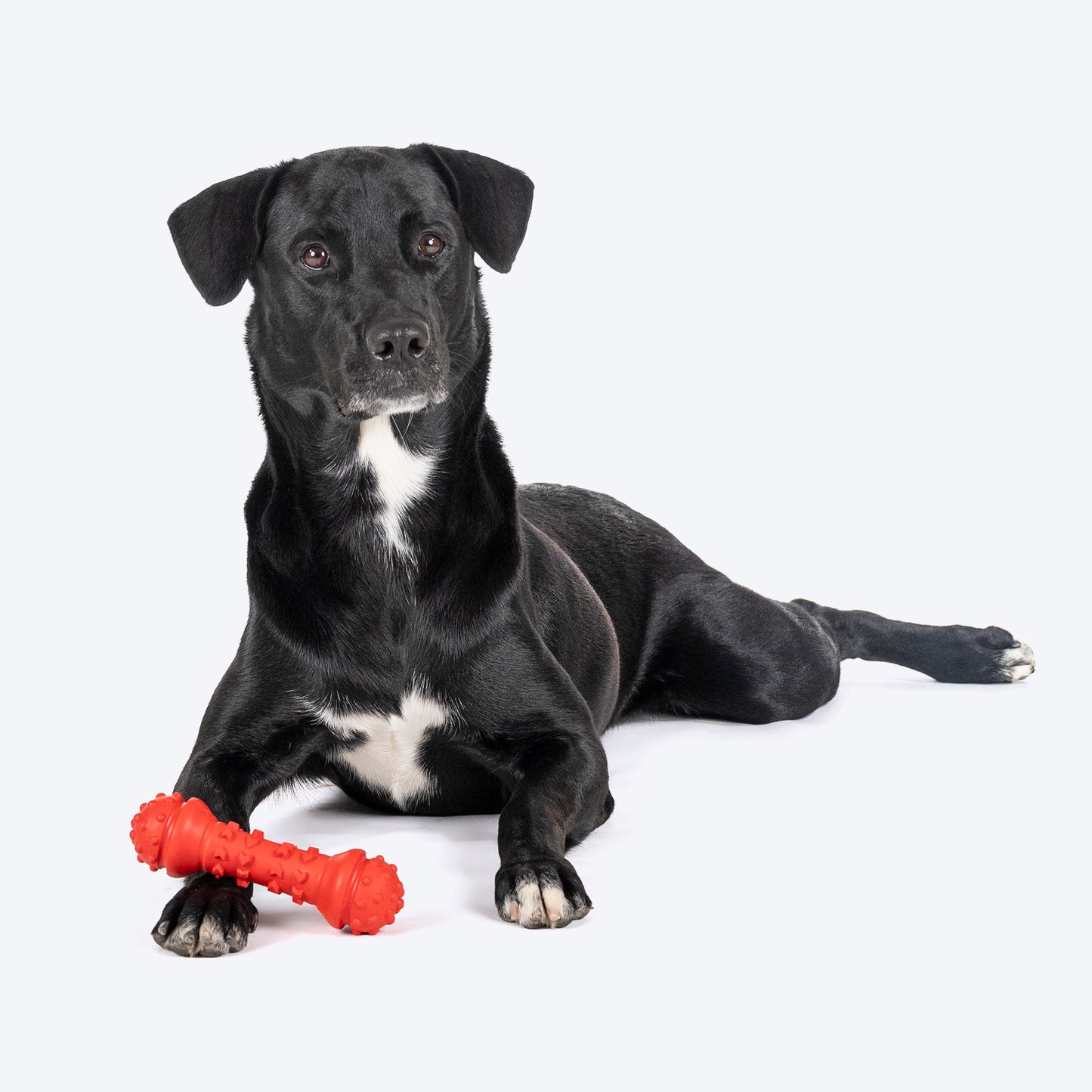 HUFT Chewtastics Rolley Chew Toy For Dog - Red - Heads Up For Tails