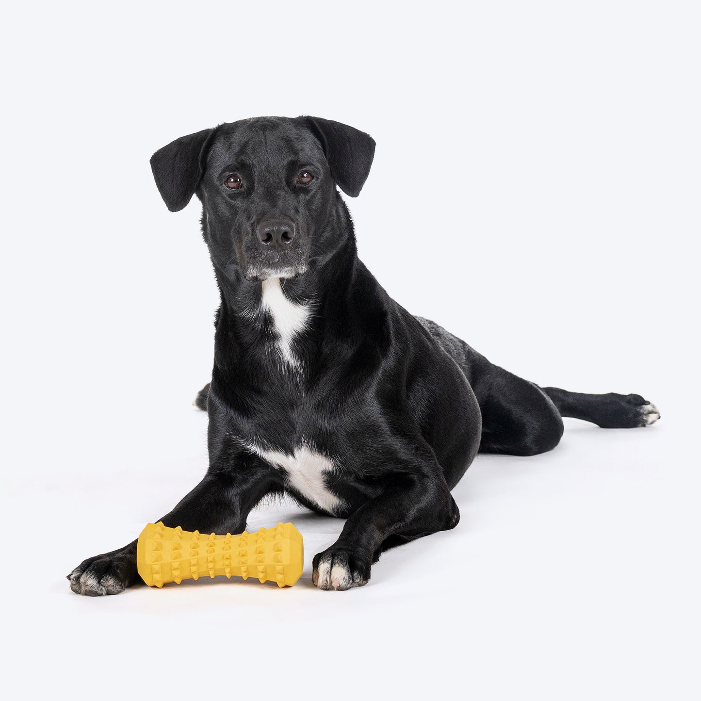 HUFT Chewtastics Buzzy Chew Toy For Dog - Yellow - Heads Up For Tails