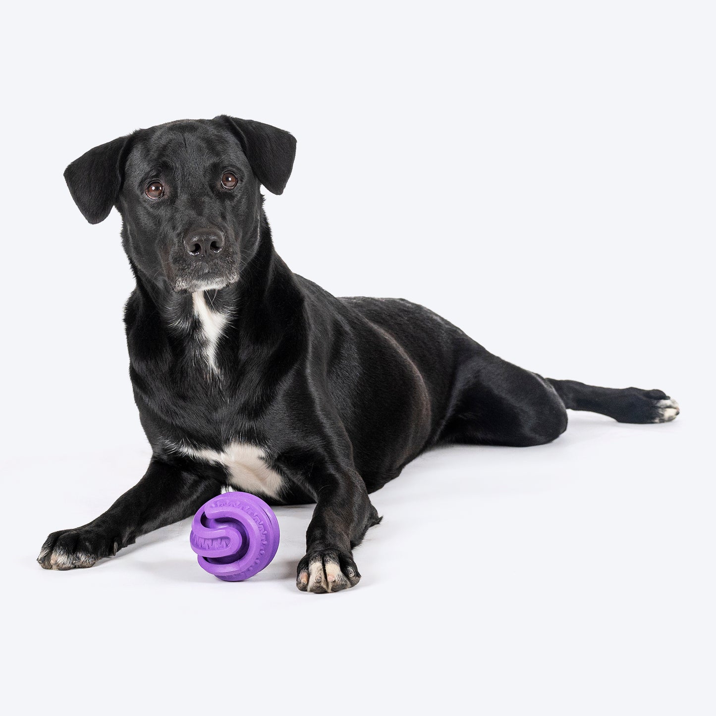 HUFT Chewtastics Feed-Me Chew Toy For Dog - Purple - Heads Up For Tails