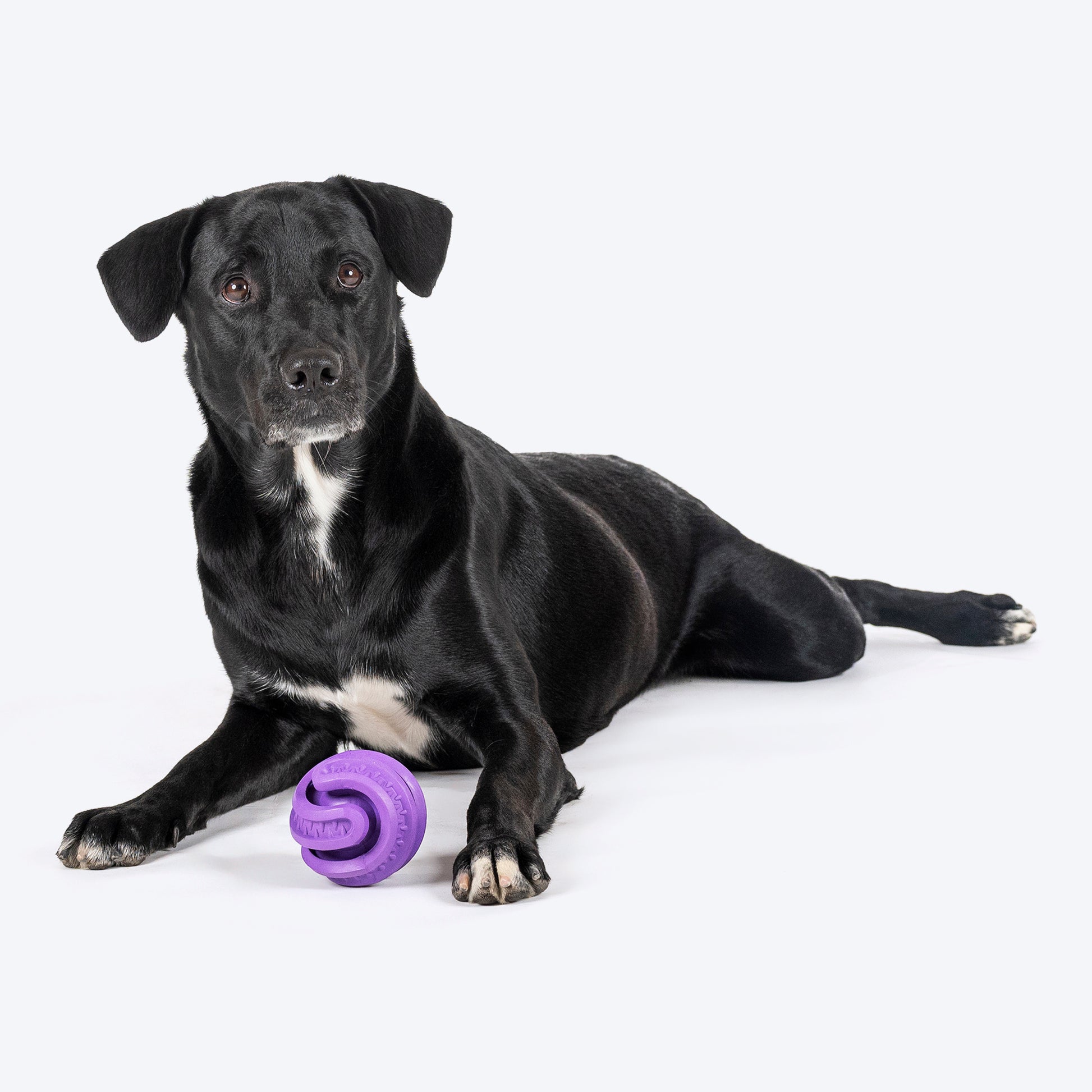 HUFT Chewtastics Feed-Me Chew Toy For Dog - Purple - Heads Up For Tails