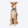 HUFT Polka Play Collar For Dog - Blue - Heads Up For Tails
