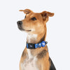HUFT Polka Play Collar For Dog - Blue - Heads Up For Tails
