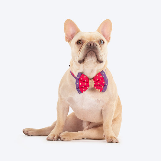 HUFT Desi Glam Bow Tie With Strap For Dog - Pink & Purple - Heads Up For Tails