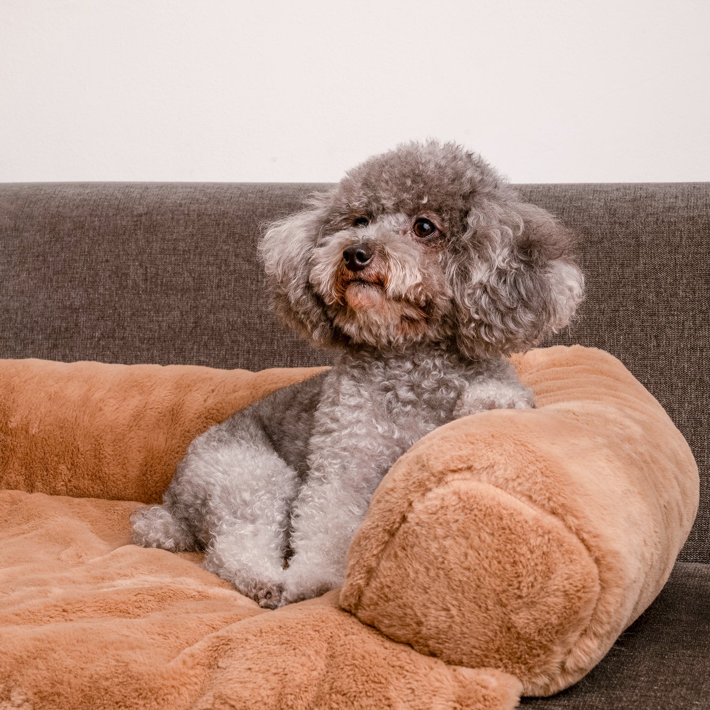 HUFT Fluffy Dreams Sofa Protector For Dogs - Brown (Made To Order) - Heads Up For Tails