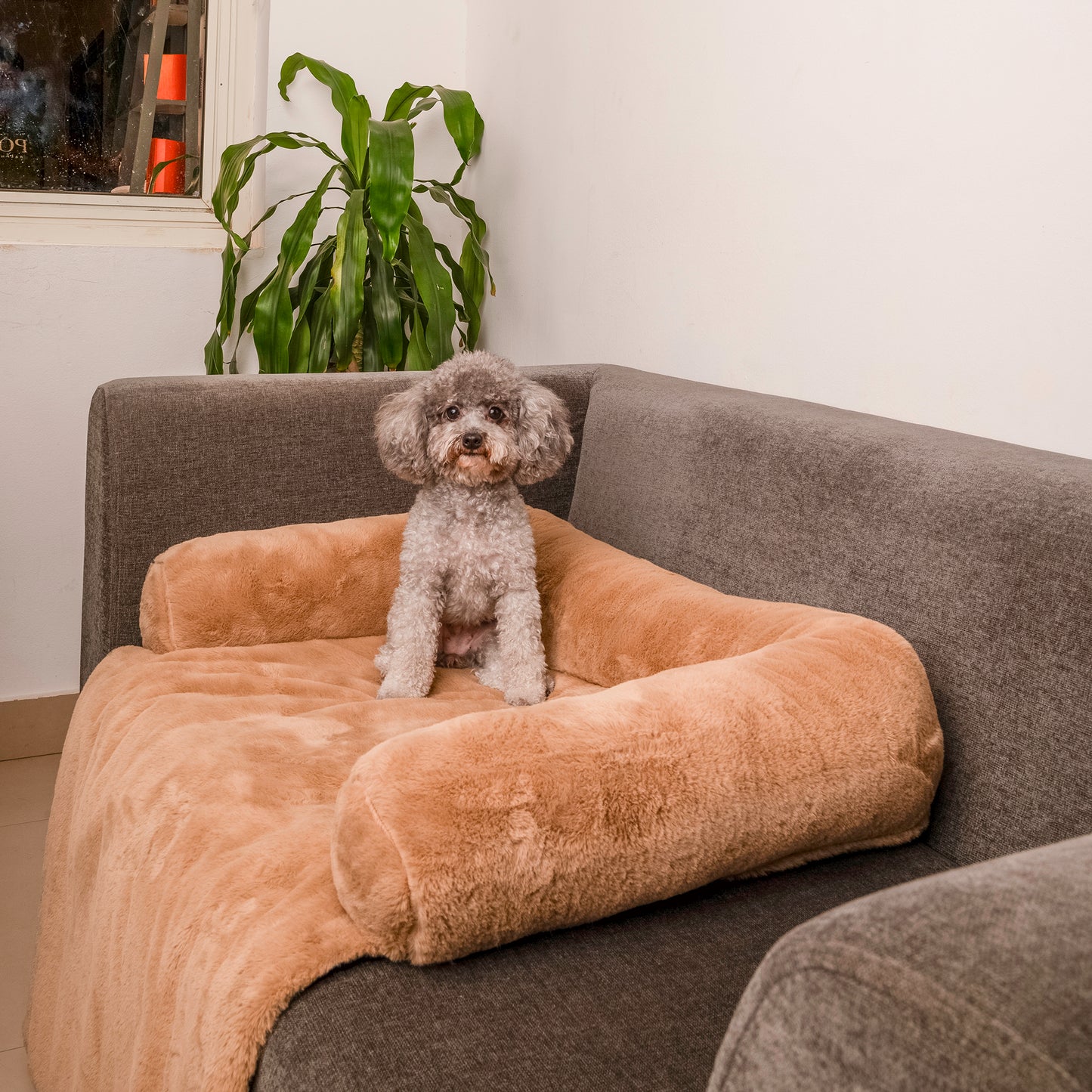 HUFT Fluffy Dreams Sofa Protector For Dogs - Brown (Made To Order) - Heads Up For Tails