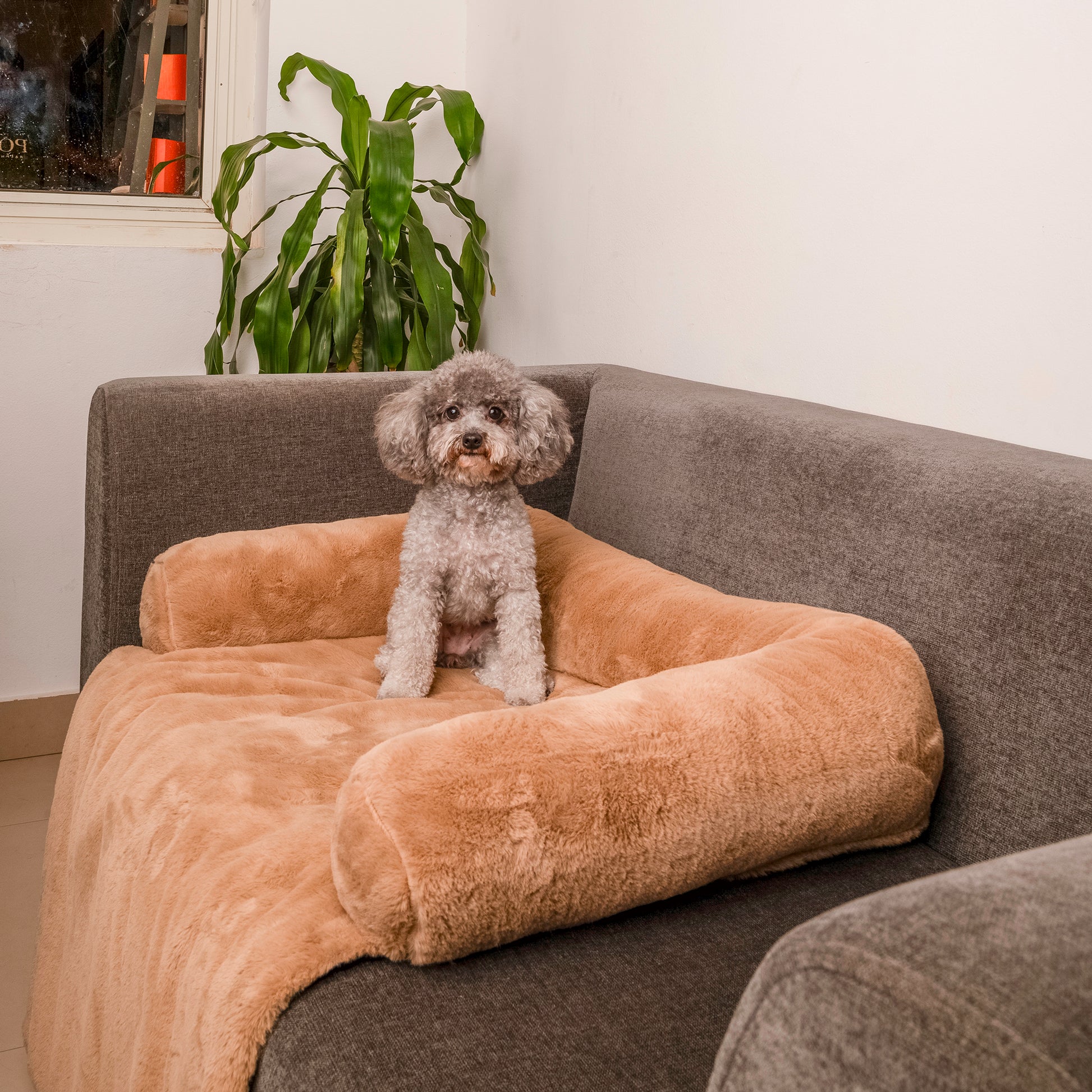 HUFT Fluffy Dreams Sofa Protector For Dogs - Brown (Made To Order) - Heads Up For Tails