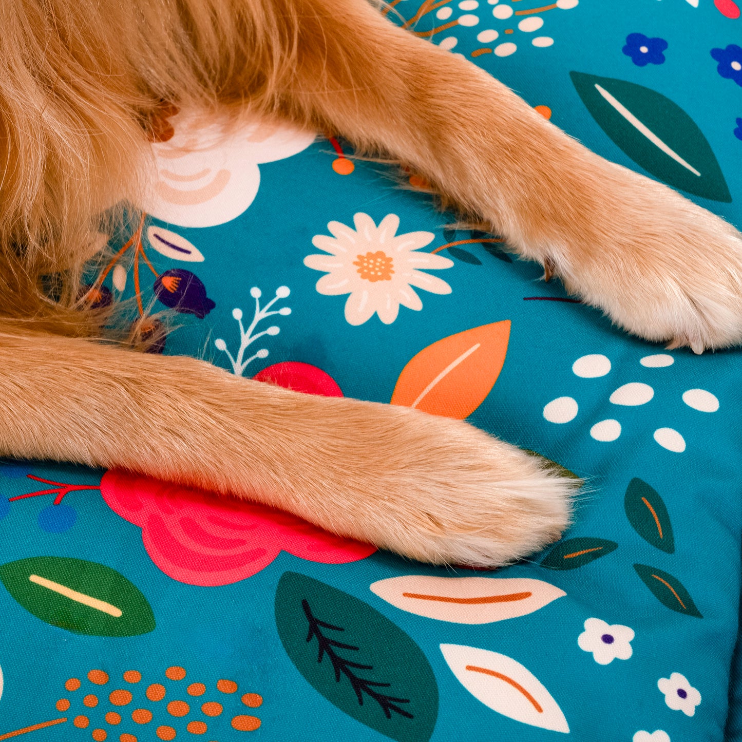 HUFT Blooming Days Personalised Lounger Bed For Dog - Yellow - Heads Up For Tails
