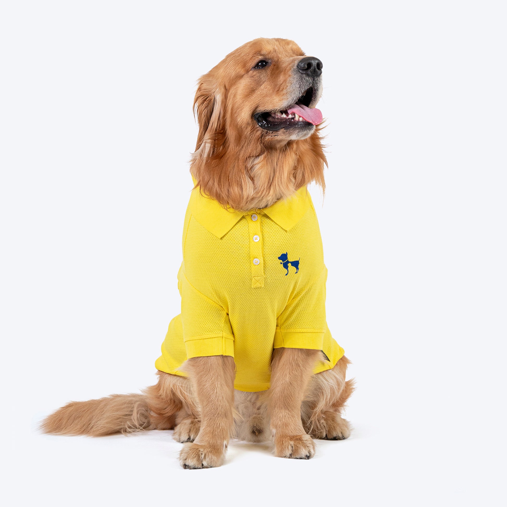 HUFT Polo Tees For Dogs - Yellow - Heads Up For Tails