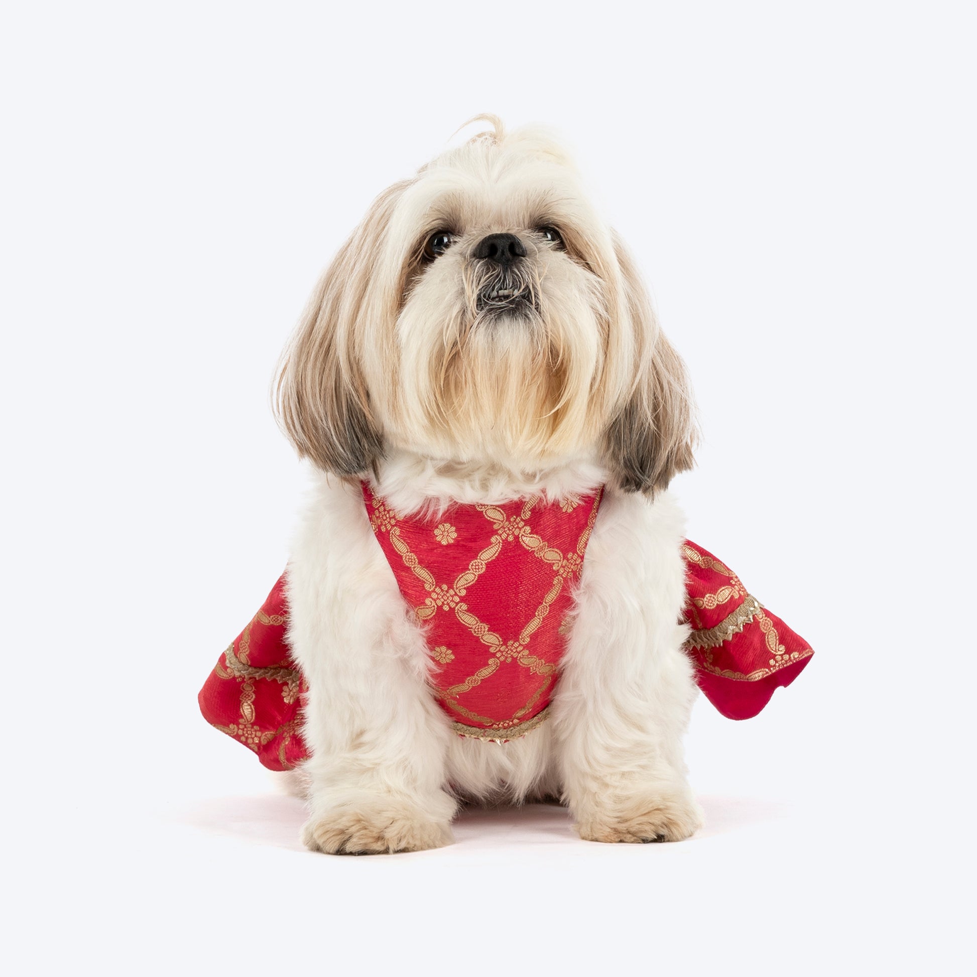 HUFT Customised Gulabi Zari Paws Brocade Lehenga Choli Set For Dog - Pink (As requested by Arpita) - Heads Up For Tails