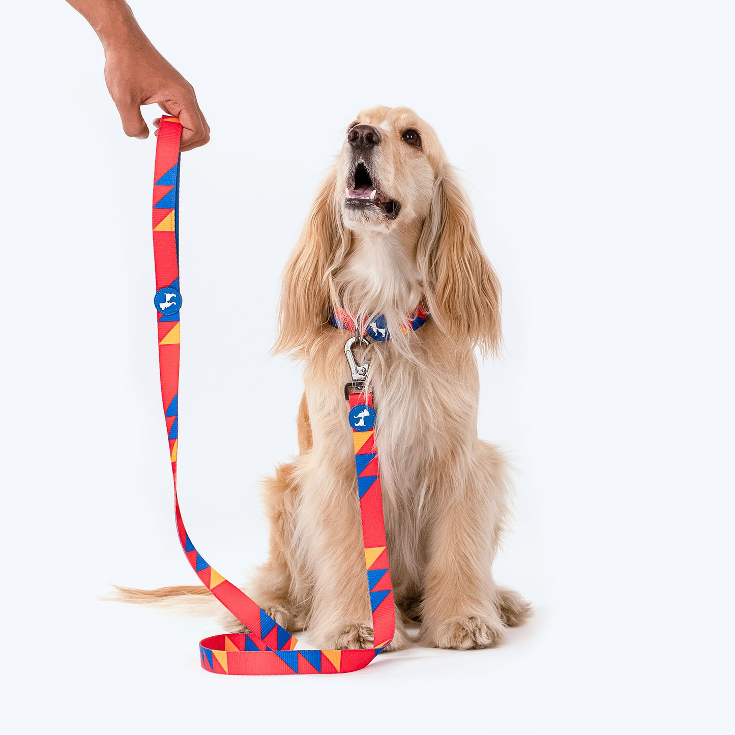 HUFT Crimson Thrill Printed Dog Leash - Heads Up For Tails