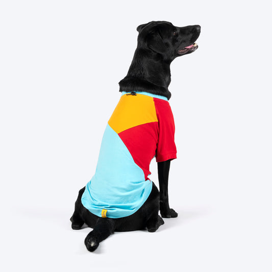 TLC Color Block T-Shirt For Dogs - Blue - Heads Up For Tails