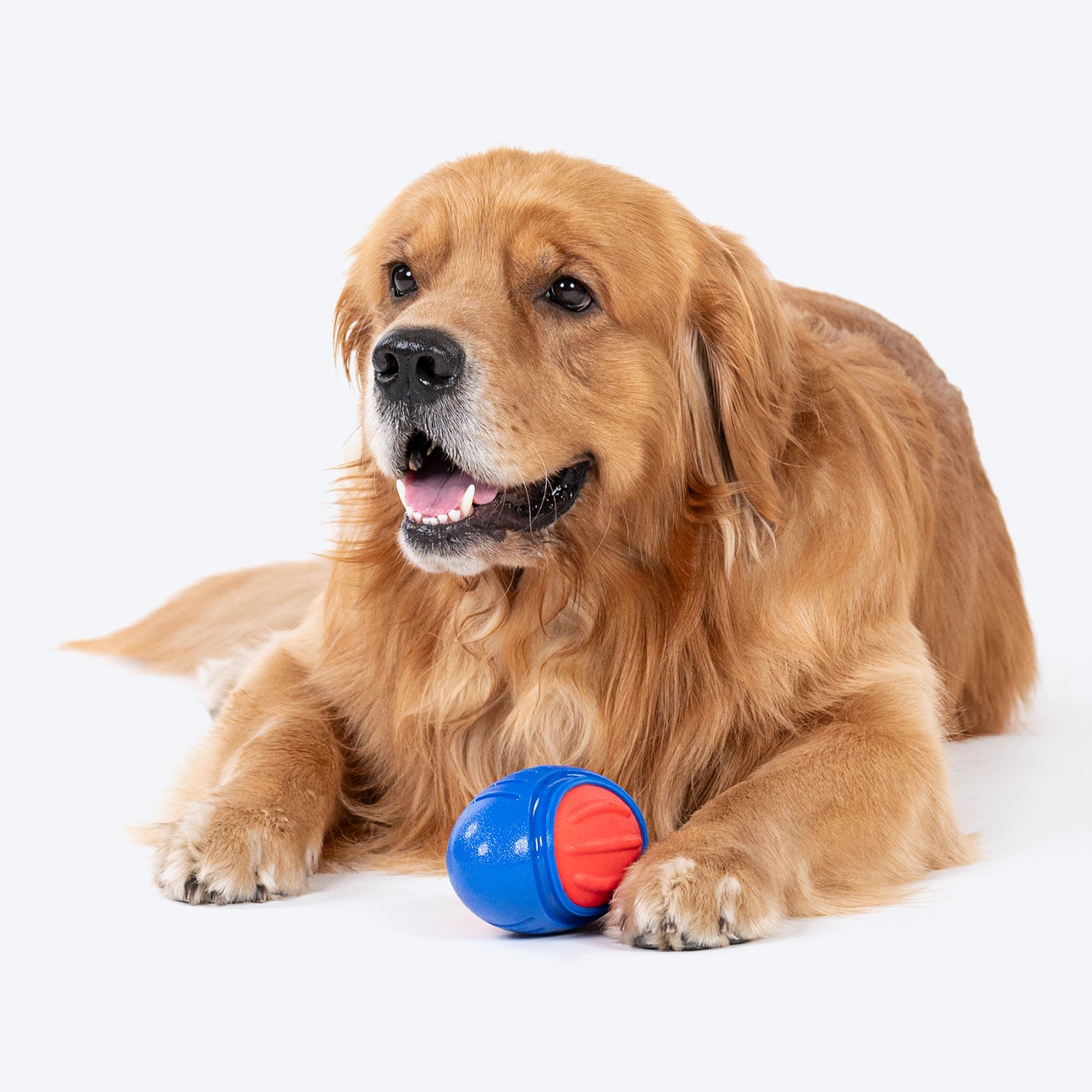 Dash Dog Sprinter Fetch Toy For Dog - Blue & Red - S_05