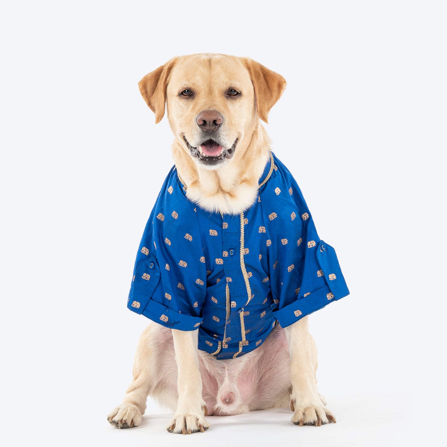 HUFT Royal Elephant Brocade Kurta For Dog - Navy Blue - Heads Up For Tails