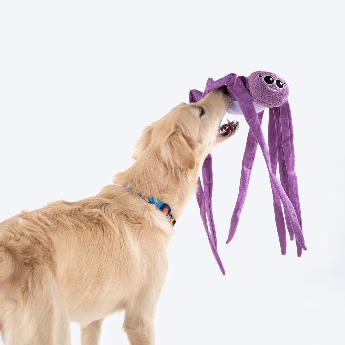 HUFT Spider Big Cuddle Toy For Dogs - Heads Up For Tails