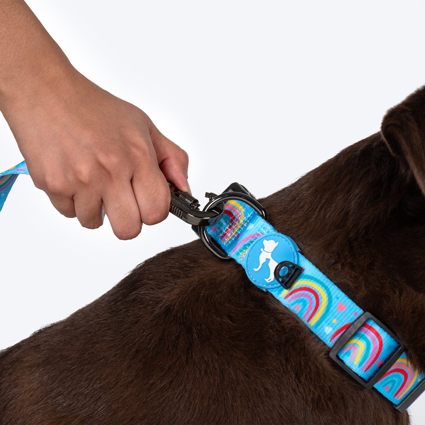 HUFT Over the Rainbow Leash For Dog - Blue - Heads Up For Tails