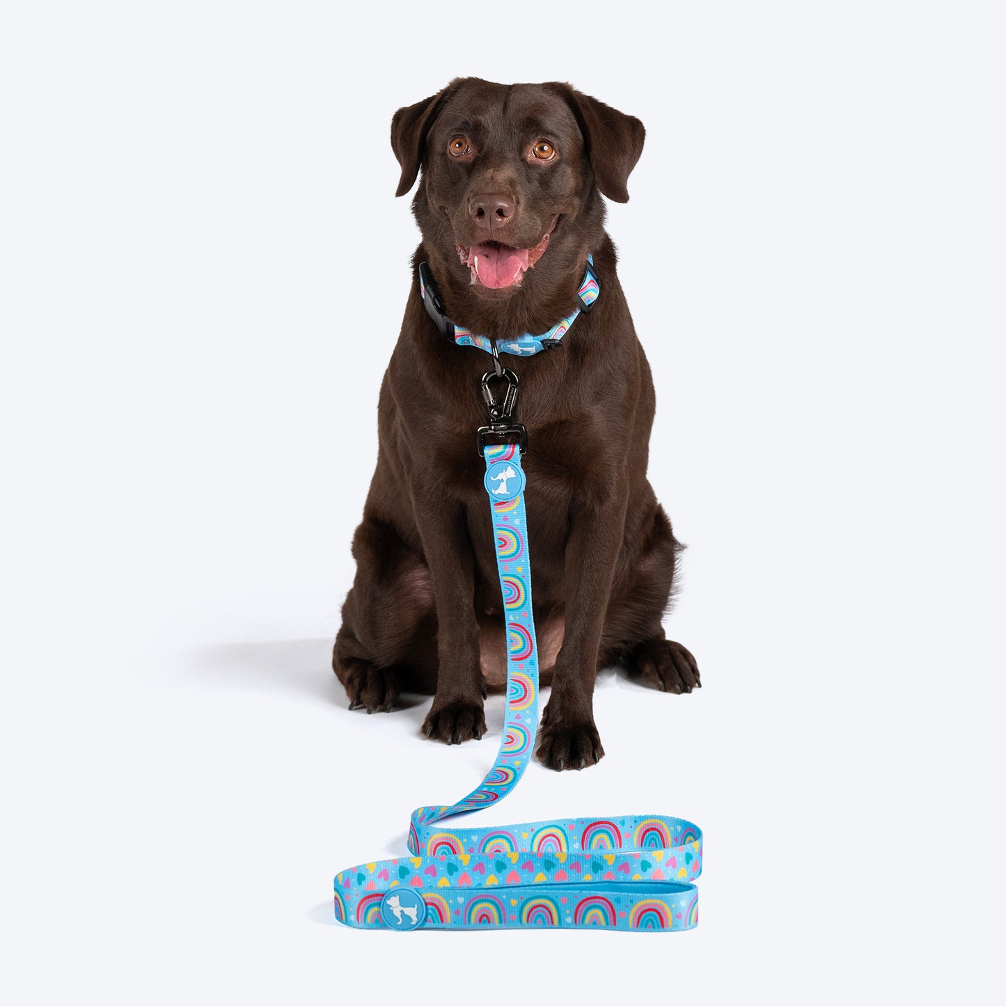 HUFT Over the Rainbow Leash For Dog - Blue - Heads Up For Tails