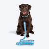 HUFT Over the Rainbow Leash For Dog - Blue - Heads Up For Tails