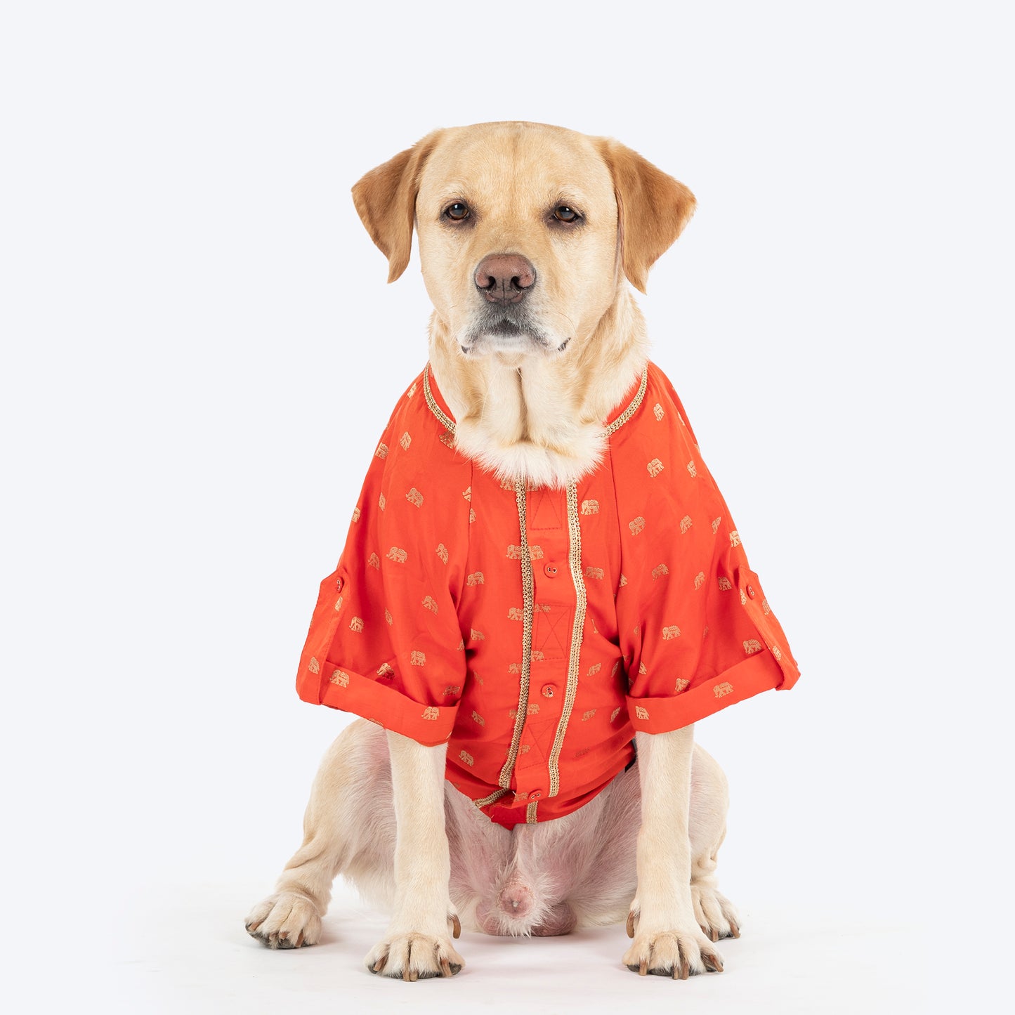 HUFT Royal Elephant Brocade Kurta For Dog - Orange