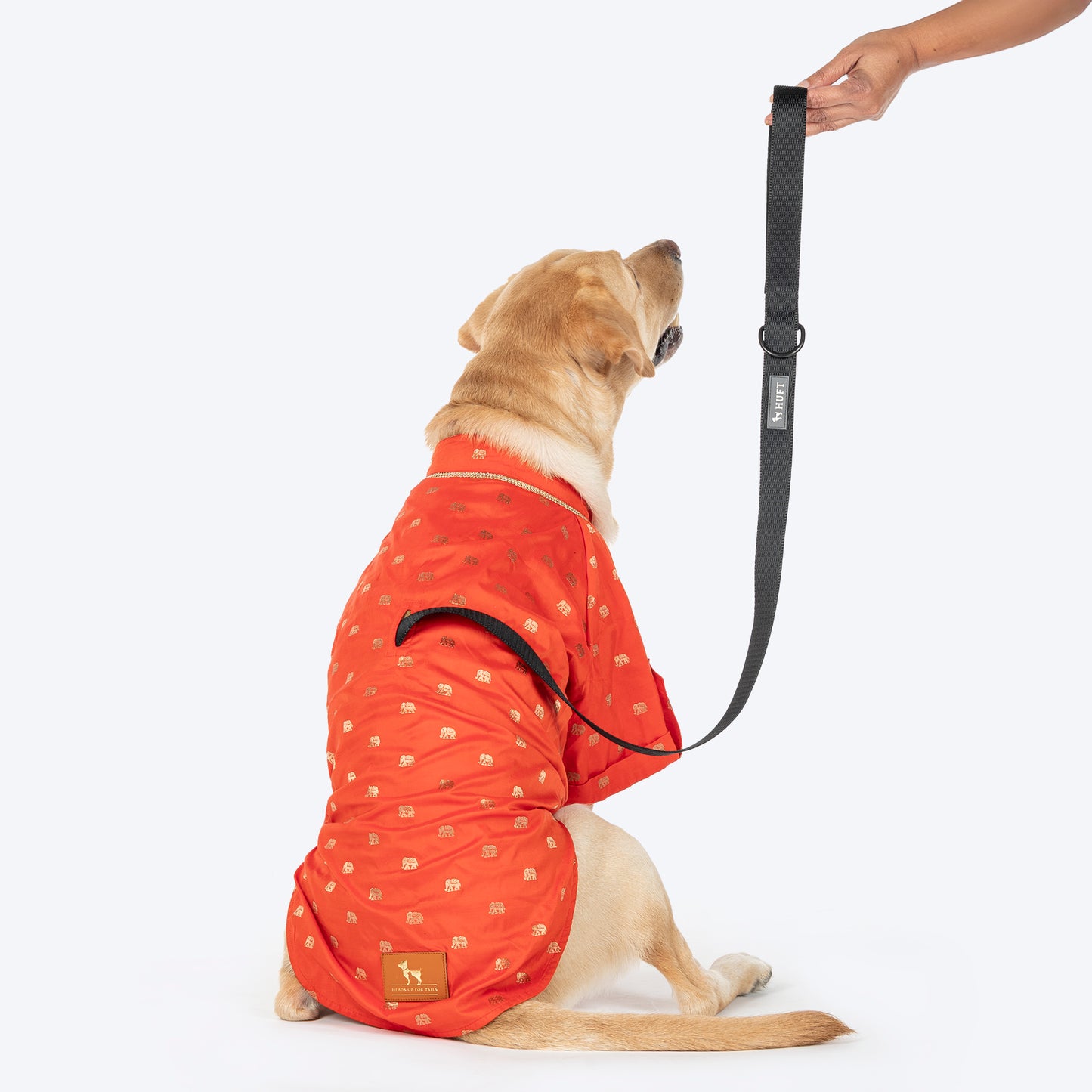 HUFT Royal Elephant Brocade Kurta For Dog - Orange